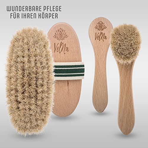 VELNA Körperbürste und Gesichtsbürste aus Rosshaar im Set. Natürliche Borsten feinem Pferdehaar, perfekt gegen Cellulite. Trockenbürste Pferdehaarbürste mit elastischem Haltegriff, Beige, 15x11x4,5