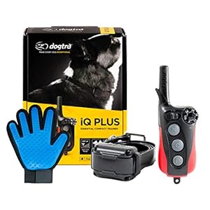 Dogtra Extreme Consumer Products IQ Plus Training Collar with Remote – Pet Smart Collar for Dogs – 1/4 Mile Signal Range – Includes Soft Silicone Pet Grooming Glove