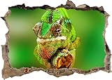 Wall Stickers Mural Decals Chameleon Lizard Jungle Green 3D Wall Sticker Poster Decal Mural Bedroom