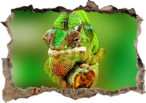 Zoylla 3D Vivid Wall Decals Pvc Mural Art Poster Chameleon Lizard Jungle Green 3D Wall Sticker Poster Decal Mural Bedroom Z363 #TOP15