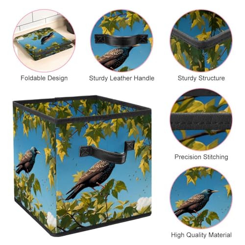 Boîte de rangement pliable étourneau panier gain de place maison - 5