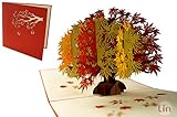 🍁 EXKLUSIVITÄT: Mit WOW Effekt und als eine kreative Glückwunschkarte zum Geburtstag, Muttertag, zur Trauung, zur Dankesagung oder als ein Gutschein - Geschenk für alle Anlässe, für Naturliebhaber.