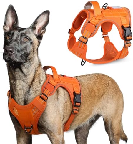rabbitgoo Hundegeschirr Grosse Hunde Anti-Zug, XL, Orange | MOLLE-System, Heavy Duty, Sicherheitsschnallen, Weiche Polsterung, 2 D-Ringe, Reflektierend für Taktisches Hundetraining