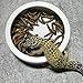 SLSON Reptile Feed Feeder Food or Water Ceramics Bowl Tray Worm Dish Mealworm Dish for Lizard Gecko Bearded Dragon Terrestrial Animals, Medium