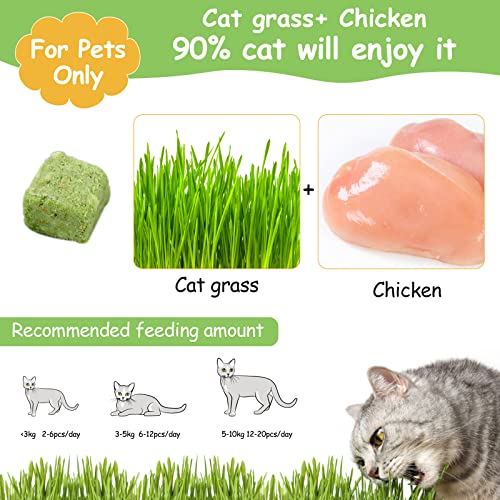 Havenfly Katzengras Snack,120g Gefriergetrocknet Snacks für Katzen für die Zahnpflege und Haarknäuel Entfernen, Katzenminze