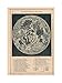 Produktbild The Art Stop MAP ILLUSTRATED ANTIQUE TELESCOPIC MOON FRAMED PRINT PICTURE F12X368