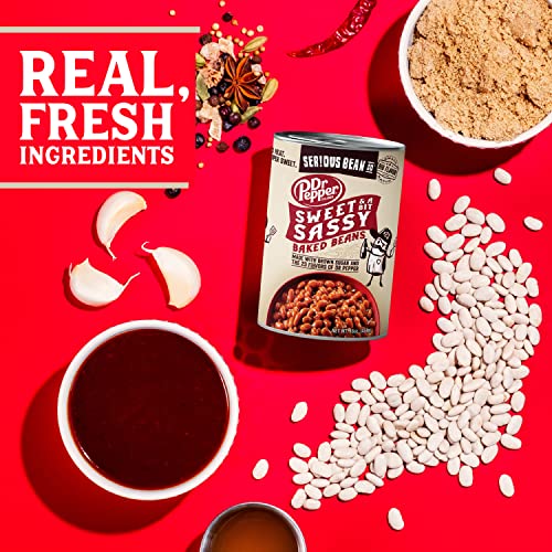 Serious Bean Co Sweet And A Bit Sassy Dr Pepper Baked Beans, Canned Baked Beans Made With White Beans, Vegan Beans, Ready To Serve Beans, (16.0 Oz (908G) 12 Pack) #TOP3