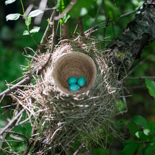 TOYANDONA 2stücke Taubennester Für Haustiere Vogelnester Zum Brüten Reihe Von Nistkästen Für Tauben Einfach Und Natürlich Gestaltetes Bruchfestes Nest Für Vögel Zum Schlafen Und Ausruhen