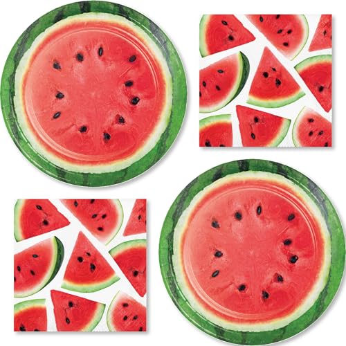 HOME & HOOPLA Watermelon Party Supplies for 16 9 Dinner Plates & Large Luncheon Napkins One in a Melon Birthday Decorations Sweet One Summer BBQ & Picnic Party Tableware