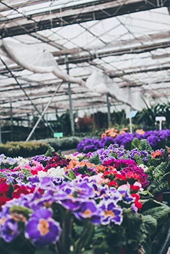 A&A Green Store Greenhouse Plastic 4 Year 6 mil UV Resistant Clear Polyethylene Film (5' x 28') - Thumbnail 7