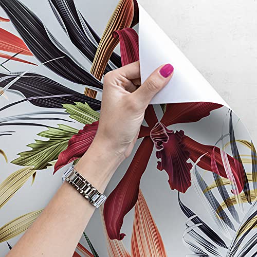 Papiers peints pour masquer un mur abîmé de cuisine ou salon - 4