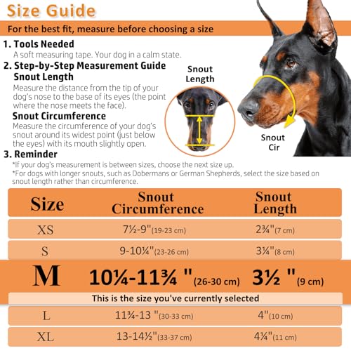 BARKLESS Dog Muzzle, Basket Muzzle for Biting, Chewing and Scavenging, Humane Cage Mouth Cover, Perfect for Grooming and Training Medium Aggressive Reactive Dogs (M, Black)