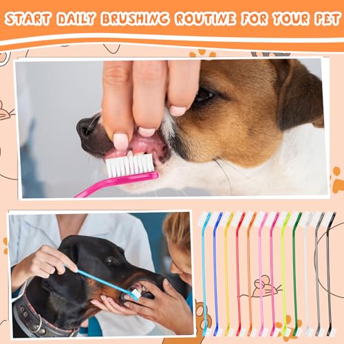 Image of oruola 12Pcs Dual Headed Dog Toothbrush,Toothbrush for Dogs Small Breed,Dental Hygiene Soft Toothbrushs to Clean Pet Teeth,Dog Tooth Brush for Small to Large Dogs, Cats and Most Pets, 12 Color