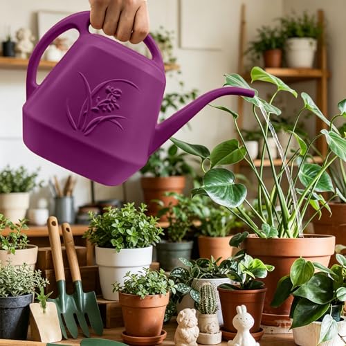 Image of Plastic Watering Can - 1 /2 Gallon - Rose Red