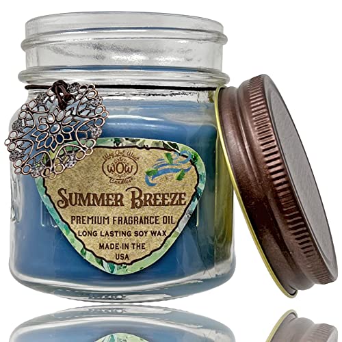 Way Out West Candles Gift Set - Nature Pack Of 2 Scented Cactus Blossom Candle And Summer Breeze- 2-8 Ounce Long Lasting Fragrant Soy Wax, Highly Scented Jar Candles - Made In Usa #TOP2