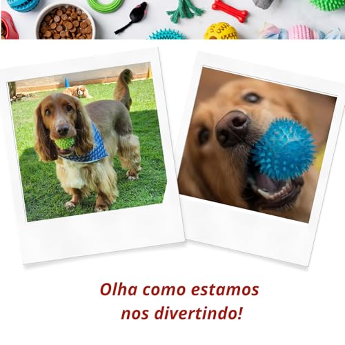 Elo Imports Kit de Bolas Ouriço com LED para Cachorros e Gatos (1 Unid)