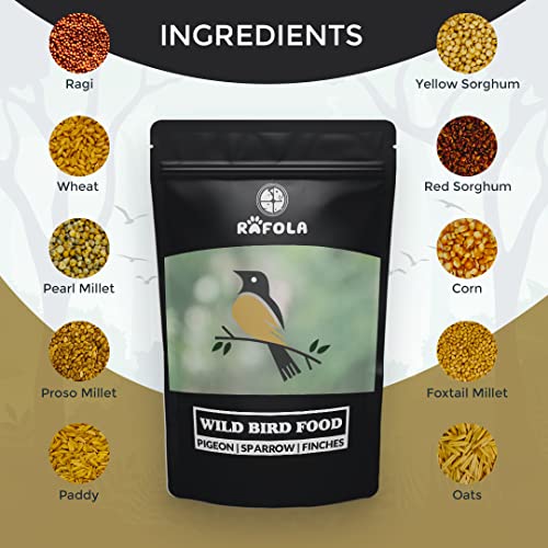 Image of Wild Bird Food Mix Seeds - Nourishing Sparrows, Finches, Pigeons & Wild Birds (1 Kg) For All Life Stages