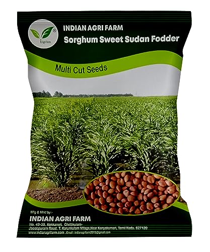 Image of Iagrifarm Sorghum Sudan Grass Fodder Seeds - 1 Kg - Multi Cut Fodder Seeds For Fodder Cultivation