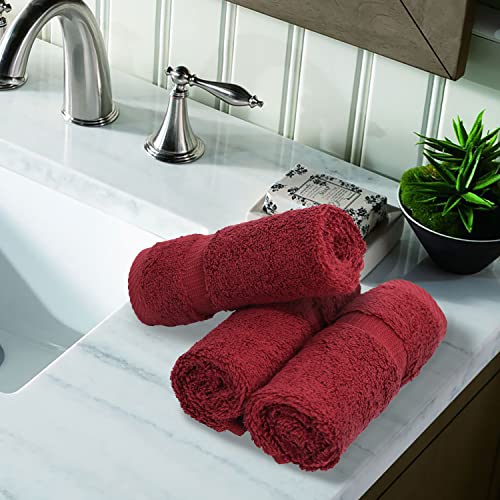 Luxury Hotel & Spa Quality, 100% Turkish Cotton 700 GSM Cloth, Towel, for Body wash, Makeup & Facial Cleaning, Baby, face, Dobby Border Soft washcloths Towel Set 13" X 13", Cranberry, Set of 12 - Thumbnail 4