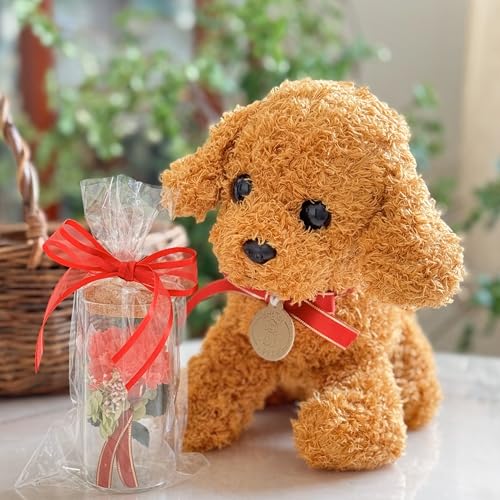 わんちゃんカーネーション