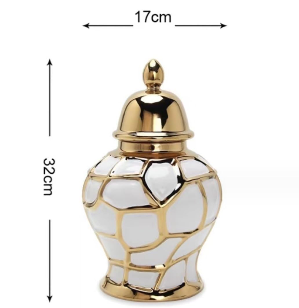 Vaso moderno Vaso in ceramica for zenzero con coperchio Vasi for...(Silver)