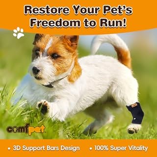 COMFPET Ginocchiera per Cani, tutore per Zampa di Cane per distorsione del legamento crociato, artrite - Mantiene Stabile l'articolazione, Cura Le lesioni alle Zampe e previene Il leccamento (L)