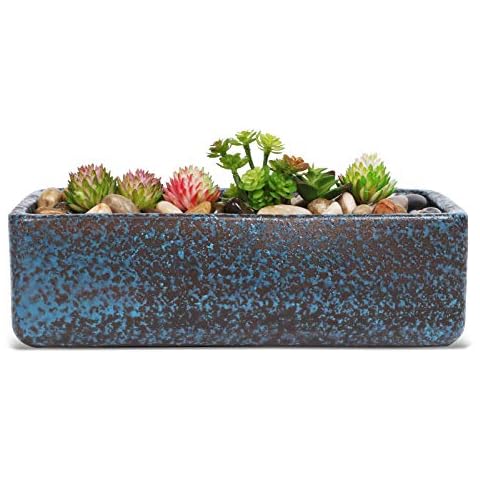 Fivepot 28CM Terracotta Succulent Planter Pot with Drainage Hole Rectangular Flower Pot for Infoor Plants Shallow Bonsai Planter Pot for Cactus Herb Snake Plants Blue Cover
