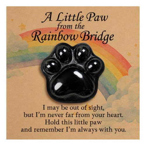Odrano Pet Loss Sympathy Gift, Obsidian Crystal Paw Rainbow Bridge (Black)