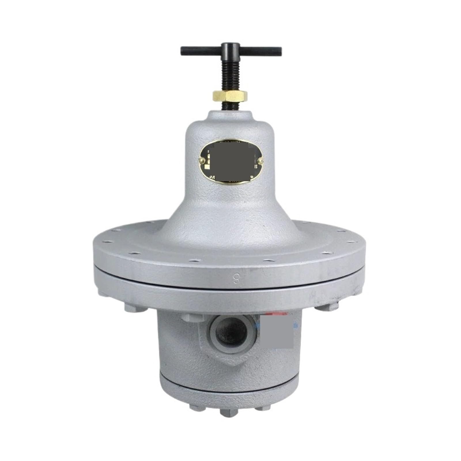Wuuxlizmx Dn10-15-Dn15-10 Pressure Reducing Valve Rd-7 Thread Special Dn15 Body Pressure Regulating Valve