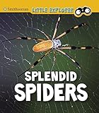 Splendid Spiders (Insect Explorer)