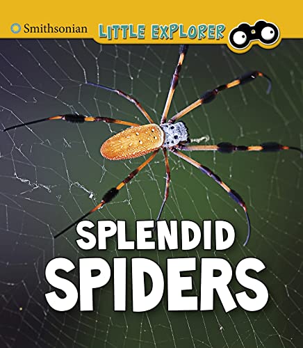 Splendid Spiders (Insect Explorer)