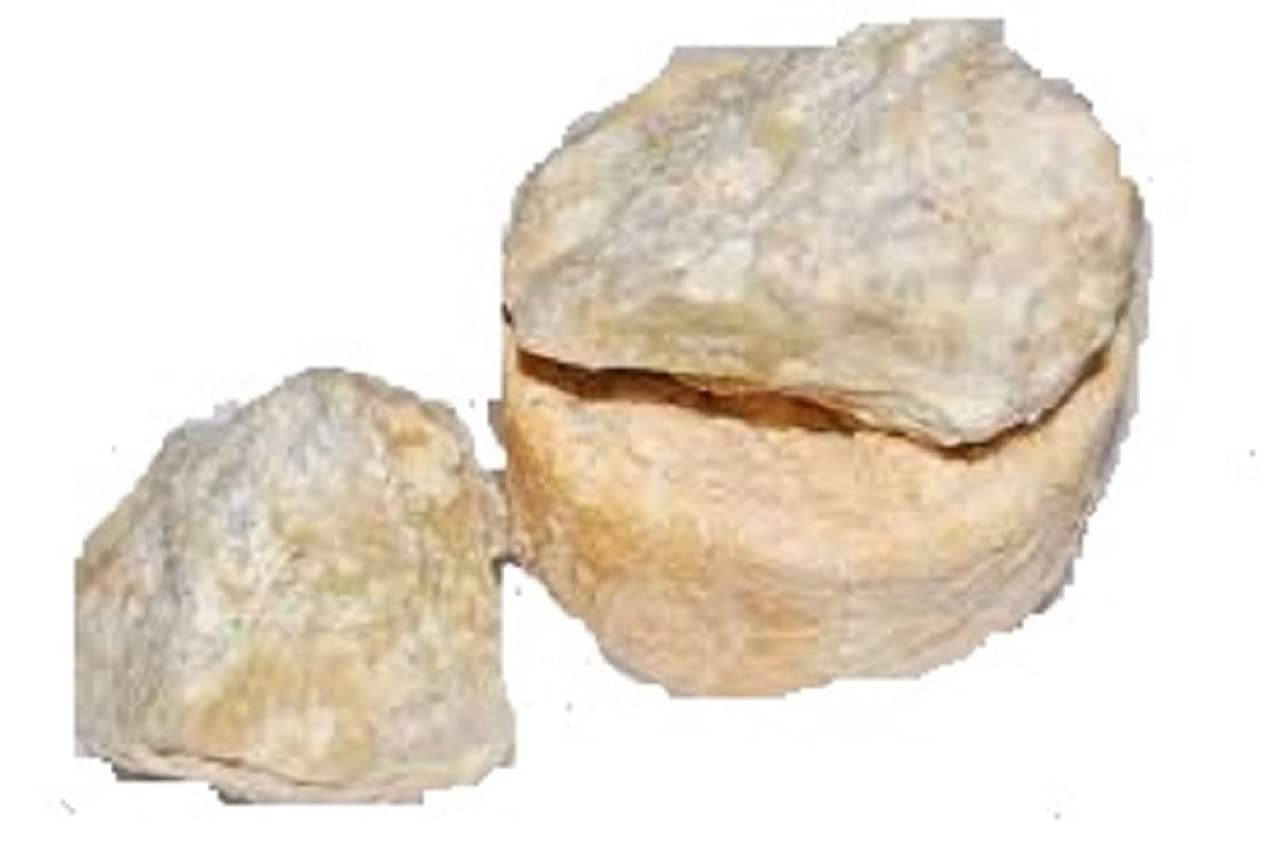 Vinarghya - Kokum Butter Oil/Kokamba/Kokam Tail/Devana Huli for Cracked heels and Chapped Lips - 100g 1