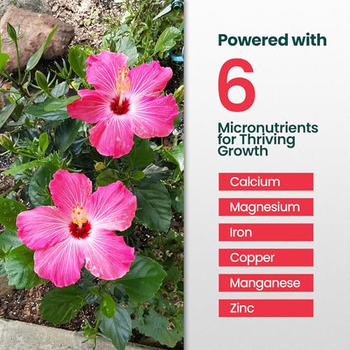 Fertilizante líquido Hibiscus 32 oz para plantas de flores miniatura 4