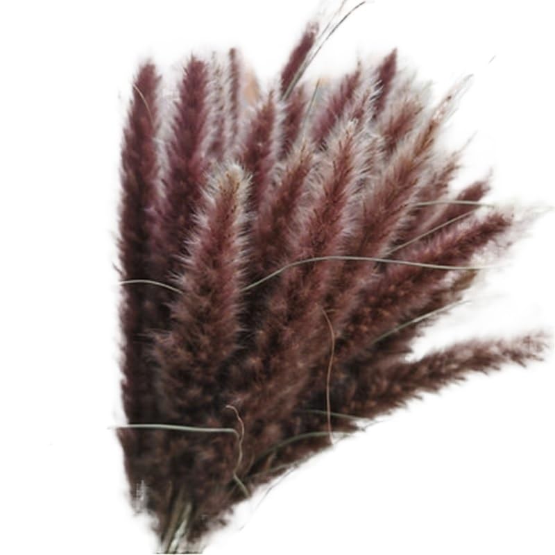 Pampas Grass grande 30 piezas para decoración