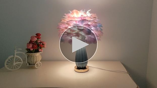 ZYLEISENBAO Feather Lamp Romantic Girl Lamp Colorful Feather