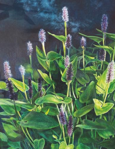 Purple Art Journal: Calm, Original Lined Notebook