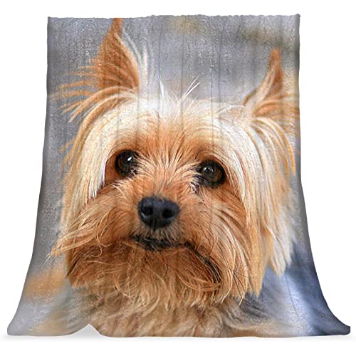 Couverture de sieste en peluche douce pour canapé et lit