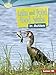 Lake and Pond Food Webs in Action (Searchlight Books &cent;  What Is a Food Web?)