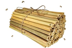 Bee-Friendly Bamboo Craft Tubes: A Haven for Solitary Bees