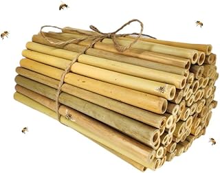 INature Bamboo Craft Tubes - 100 Count, 5" Eco-Friendly Sticks for DIY Bee Hotels, Solitary Bee Hives, and Pollinator Gardens