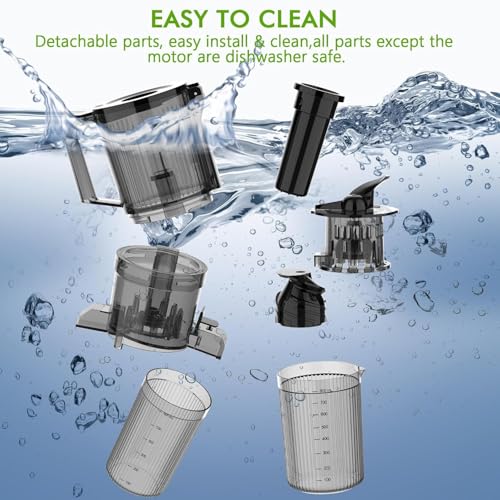 Electactic Slow Juicer Machine with 300W Pure Copper Motor, 4.35-Inch Wide Chute & Reverse Function, Stainless Steel Juicer for Family Daily Use