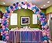 DeElf Quick & Easy Balloon Arch Kit for Birthday, Event Planning, Wedding Event Party Decoration