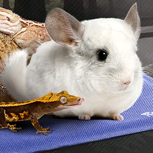 Tapete Aquecedor Para Cães Almofada De Aquecimento Elétrico Bicho De Estimação
