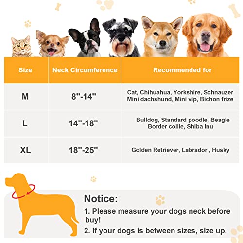 Dog Donut Collar, Bienbee Dog Cone Alternative After Surgery Inflatable Dog Collar Soft Dog Cones For Medium Dogs To Stop Licking #TOP5