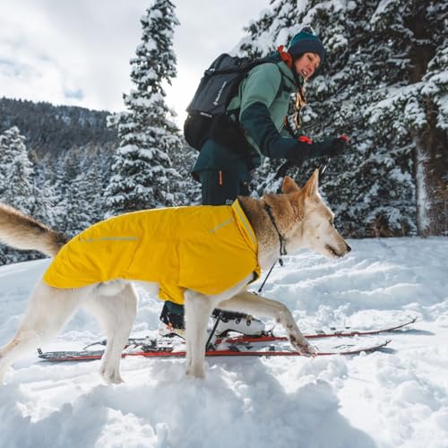RUFFWEAR Knot-a-Collar mittelgroßes Hundehalsband, Kletterseil, verstellbar und stark für Spaziergänge mit dem Hund, Größe M (36–50 cm), Blauer Pool