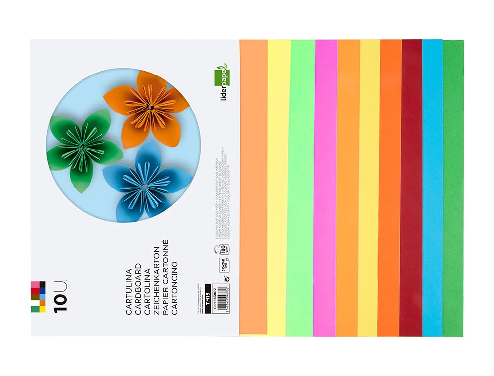 Blocco lavori manuali leiderpapel cartoncino 240x315mm 10 fogli 5 colori neon + 5 colori intensi