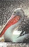 Pelikan-Heinz Sielmann Fotopreis 1996-Tiere im Zoo - Postkarte