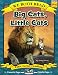 Big Cats, Little Cats (We Both Read - Level Pk-K)