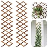 2 Pièces Treillis Extensible pour Plantes, 170CM x 33CM Panneau en Treillis de Bois pour P...