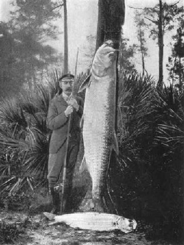Some Fish and Some Fishing